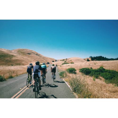 klenkomat: hello-velo: Photo by stevo_chang Connect with Hello-Velo on Instagram @tommy_takeiteasy  