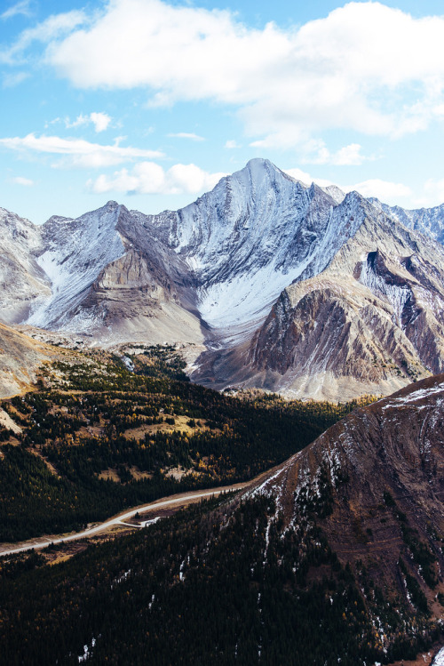 A Nature Blog
