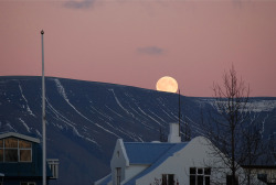  Moonrise over Esja, a winter afternoon in Reykjavík. December 2010. 