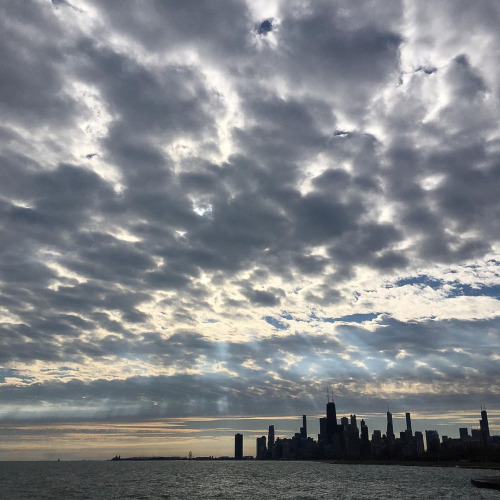 View from Diversey Harbor, ChicagoDecember 2021 photo by Cynthia Meyers