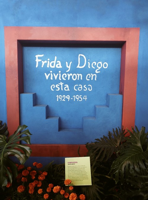 sonoanthonypics:Frida Kahlo exhibit in the Botanical Garden. Bronx, NY. 2015. 