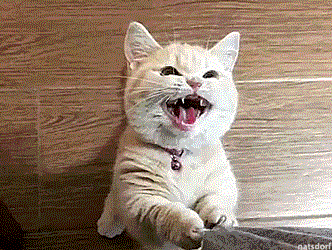 CATANIST