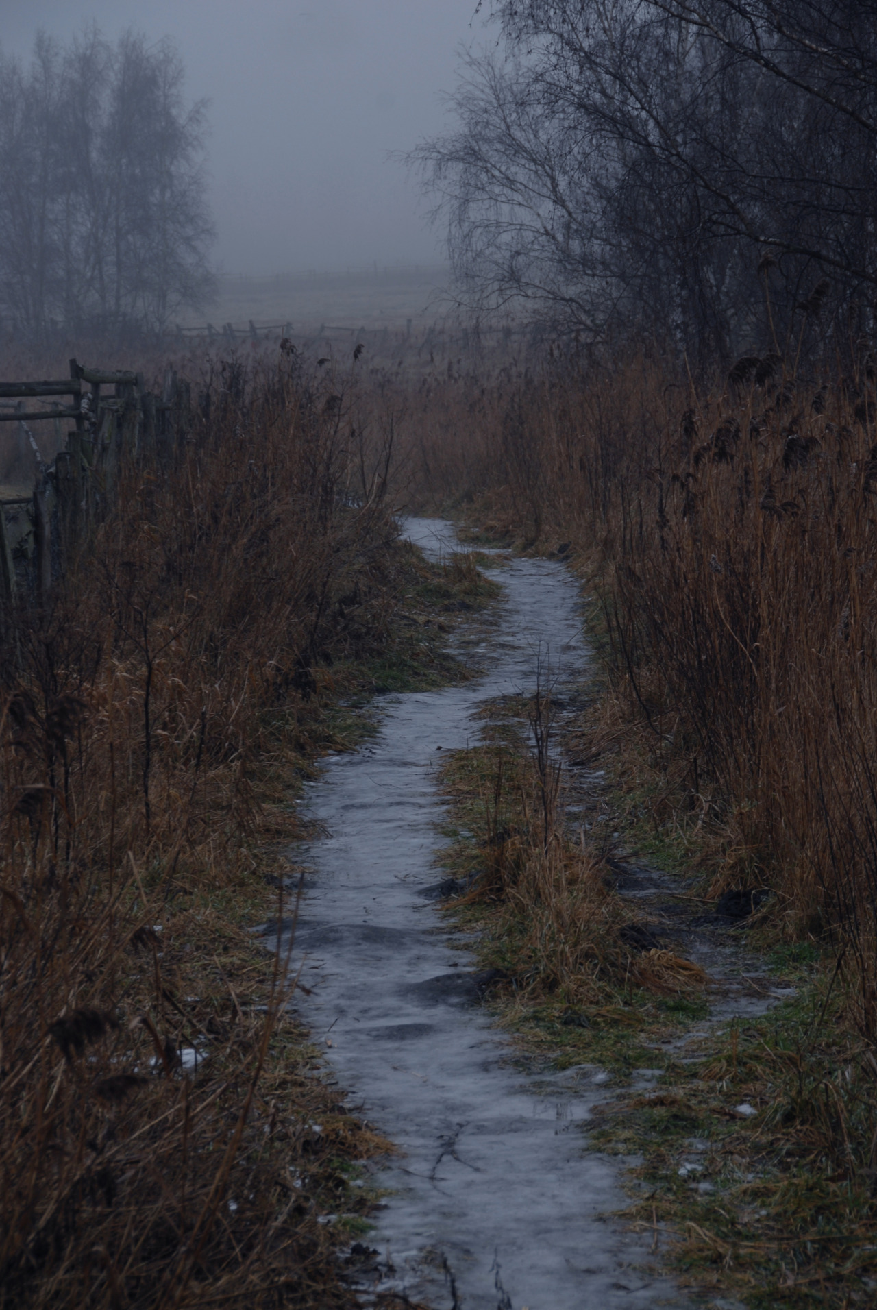 hinterdemmond:  frozen path
