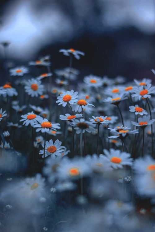 lsleofskye: Over the rainbow | blue.pale.dot Location: Dikili, Izmir, Turkey