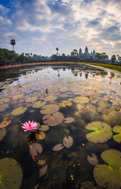 vacilandoelmundo:  Angkor Wat, Angkor, Cambodia