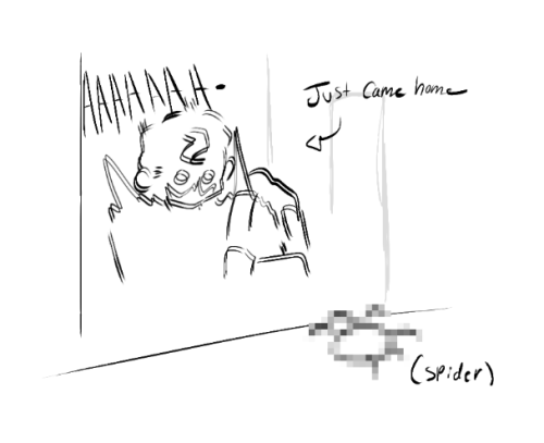 thecoolsquirrel - The Coolsquirrel