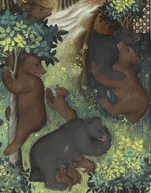 bear clubGaston Phébus, Livre de la chasse, Paris 15th centuryBnF, Français 616, fol. 27v