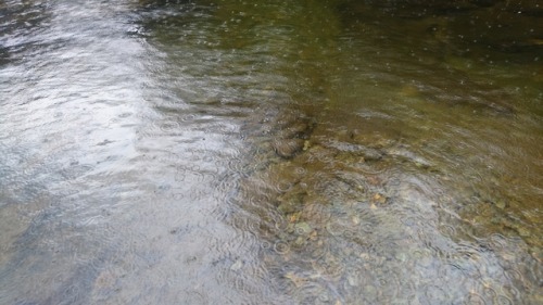 Raindrops fall into Aira Beck above Ullswater in March 2019