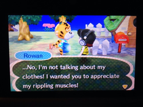 lordkosmic:  A tiger finally moved into my town!! And he’s everything I dreamed he would be.   He and I are going to be best friends for sure! :3