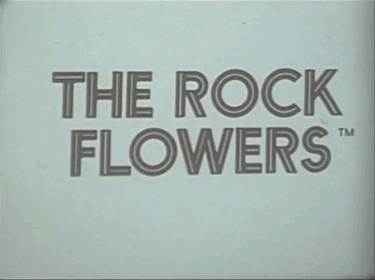 thegroovyarchives:  1971 Commercial for Mattel’s “Rock Flowers” Dolls 