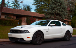 JUST THE COOLEST MUSTANGS