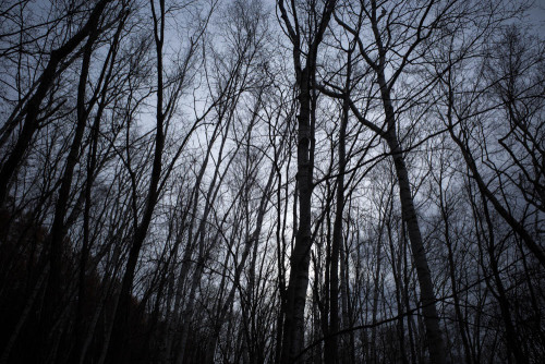 sometimes-leica