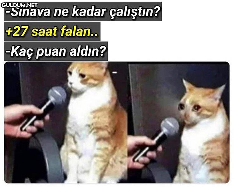 -Sınava ne kadar çalıştın?...