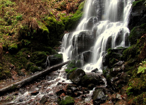 Fairy Falls, Oregon  November 2013