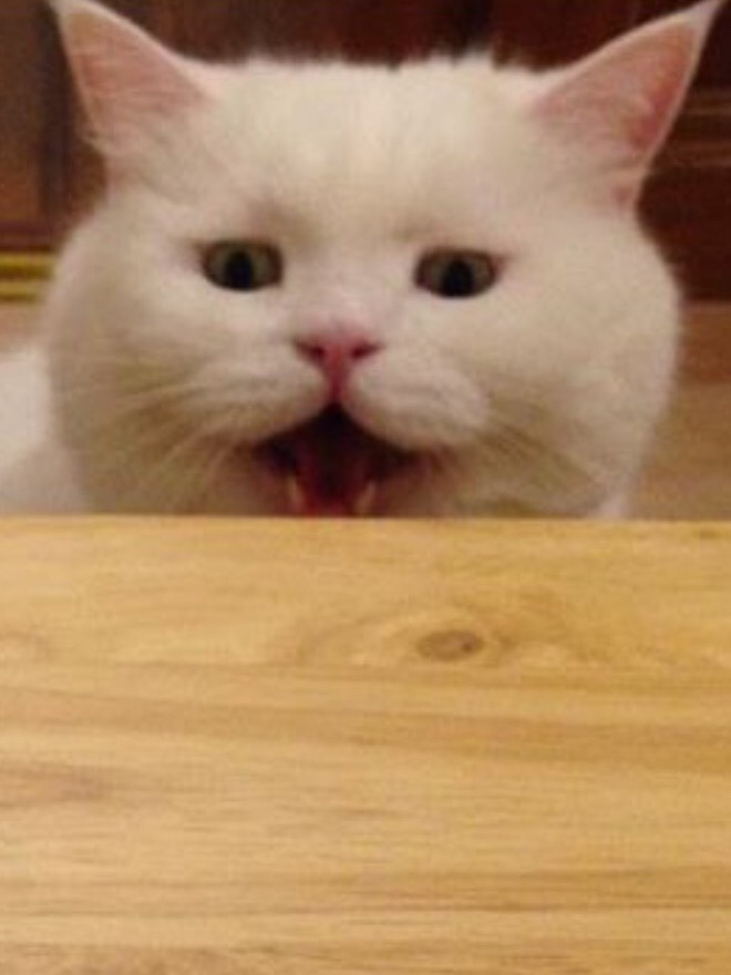 sophianne:it me
