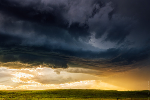 this year I’ve seen more LP elevated super cells, which are my absolute favorite, in one year 