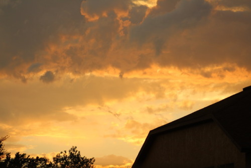 violencebased: (8/6/17)  An extremely beautiful sunset. (All pictures are mine, please do not remove