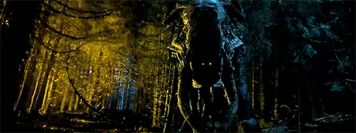 loga-boga:The Ritual (2017) -  Directed by David Bruckner“Oh, this is awful in almost every conceiva
