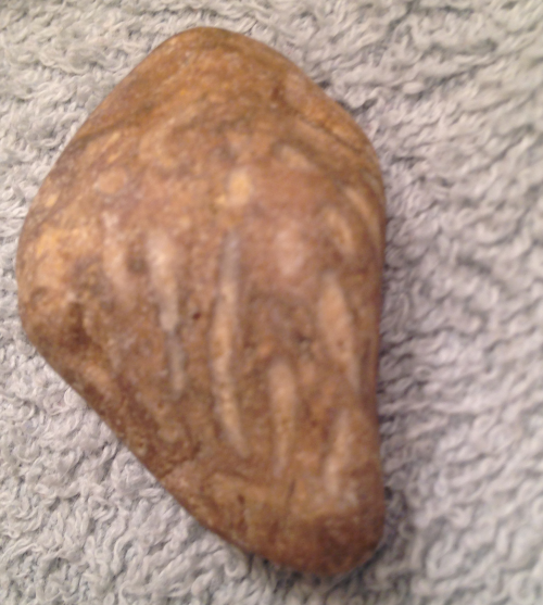 genjiswife:Found some neat rocks the other day, anybody got any ideas what any of em might be? Espec