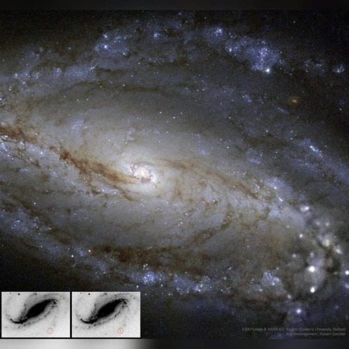 XXX NGC 613 in Dust, Stars, and a Supernova #nasa photo