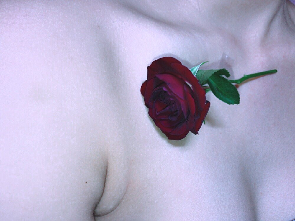Imetaso Tumblr Blog Tumgir Imetaso Tumblr Blog Tumgir