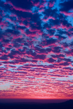 highestheartbeat:  tidesss:     Pasar Atardeceres hermosos con la única persona que .. a travez de sus detalles :$ logra hacerme olvidar que hora es, si llueve o caen cuackos asados .. o hasta respirar :c .. te amo mi princesita