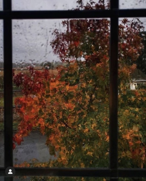Snejana Onopka - Fall