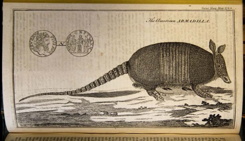 “The American Armadilla,” from the May 1768 issue of the Gentleman’s Magazine. This publication was 