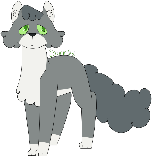 [Image Description: A digital drawing of Storm from the Warrior Cats books. Storm is a gray cat with