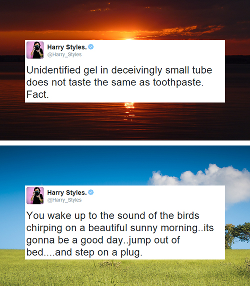 babustyles:  Donate during 21 days of Harry: Day 3. Best tweet(s) 