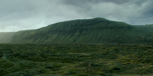 filmswithoutfaces:The Northman (2022)dir. Robert Eggers