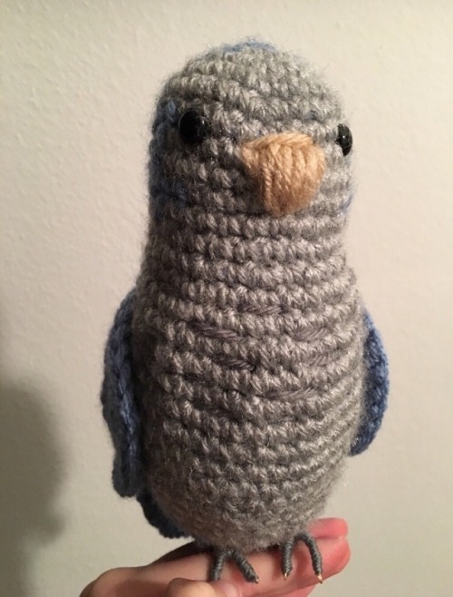 emiknits:motherofbirds:I crocheted a blue Quaker parrot!!!! I love it so much!