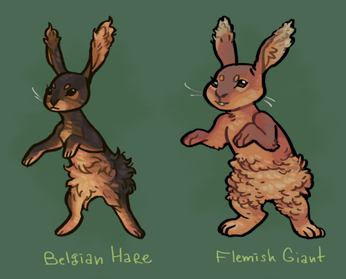 roachpatrol: I love Pokemon variations! So I went nuts on breeds of Buneary. 