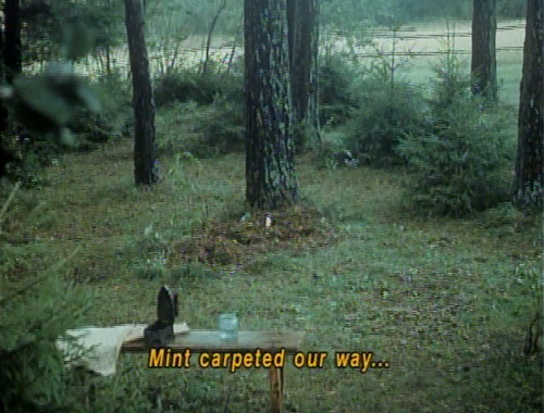 communicants:The Mirror (Andrei Tarkovsky, 1975)