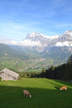 radivs:  Grindelwald #2 by JEpictures 