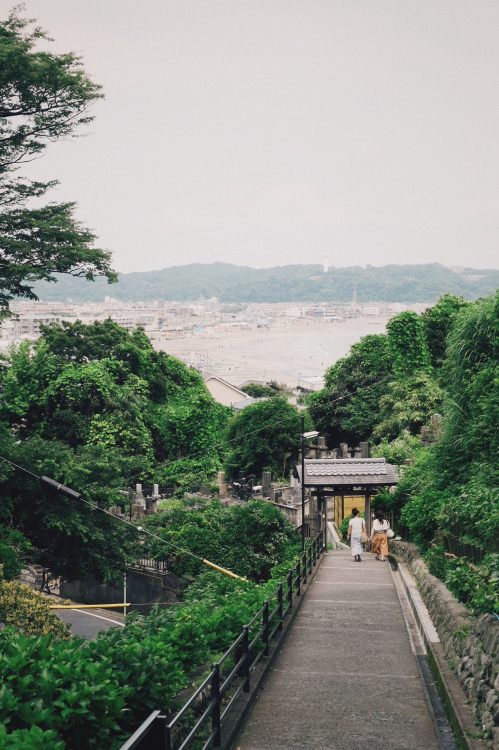 mizunokisu:   	Kamakura by Yoshitaka Kashima     