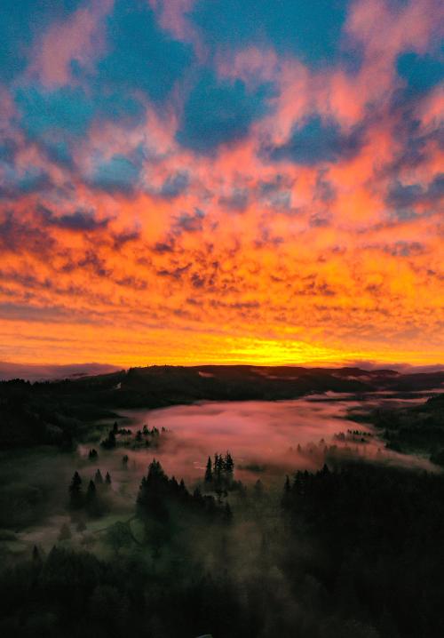oneshotolive:  Sunrise in Clatskanie, Oregon this morning. (OC)[3328x4779] 📷: Akriax 