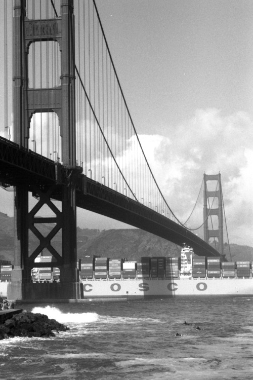 Surfers at Fort Point, San Francisco. October, 2016. Benjamin Bradley.