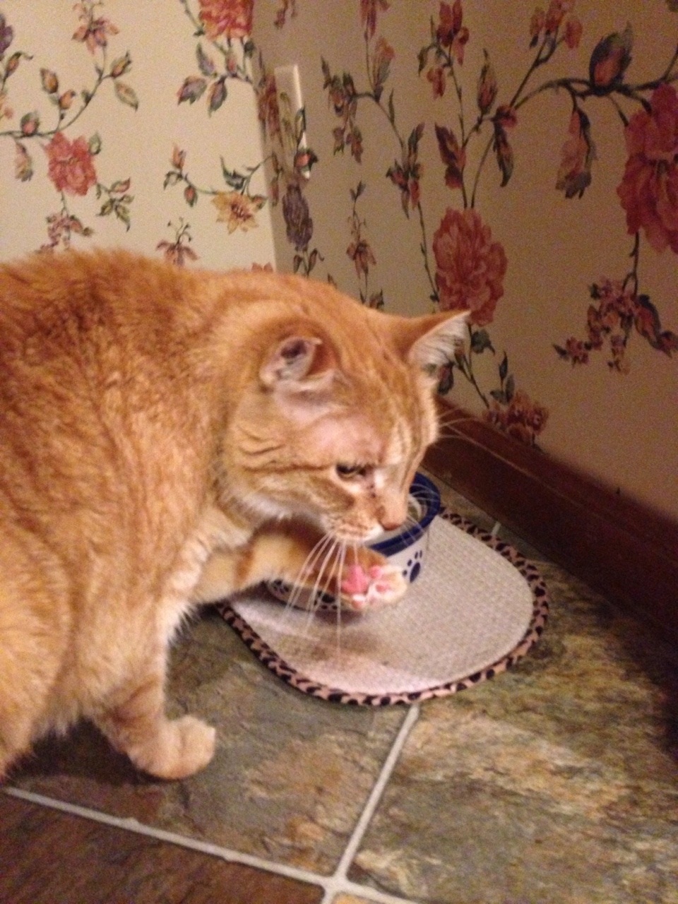 Owner&hellip;.why do you keep calling my name&hellip;.I&rsquo;m trying