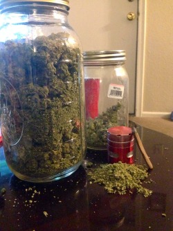 ifweallhadabong-weed-allgetalong:  The best of the best. 