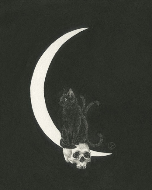 thewindowofthesummerhouse:  Stephanie Inagaki