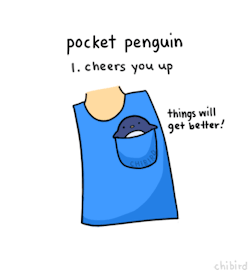 chibird:  Introducing, pocket penguin! Everyone