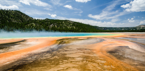 Yellowstone National Park - Wyoming - USA (by Sri Dhanush K) 