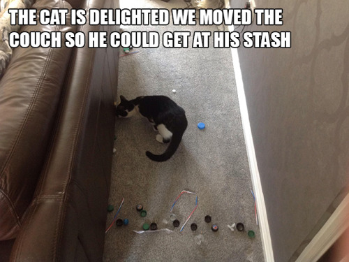 liukka:  lous-games-win:  hamletwithbears:  sadanduseless:Cat Hoarders The receipt cat is actually a soot sprite.  That last one  Yeah, that last one.