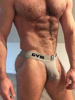 scoobydudeguy:  intensegreg:     Perfect amount of muscle and fur.