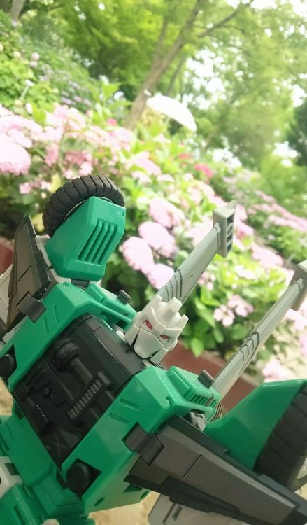 今年も紫陽花キレイだったよ～