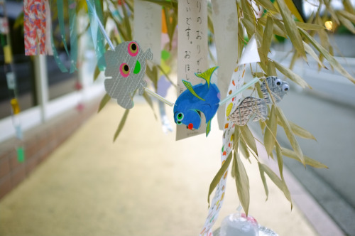 Elementary School Tanabata Decorations