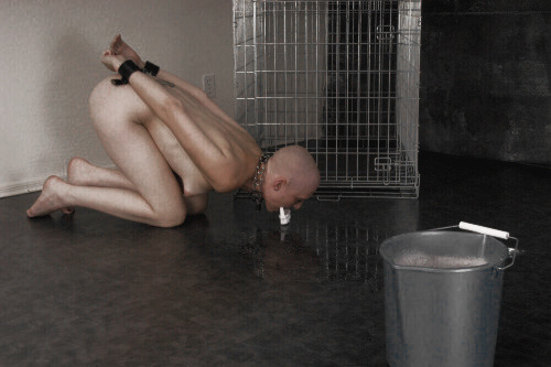 slave-dumbo: existencialistsdungeon:In the beginning she cried and screamed about the humiliation. B