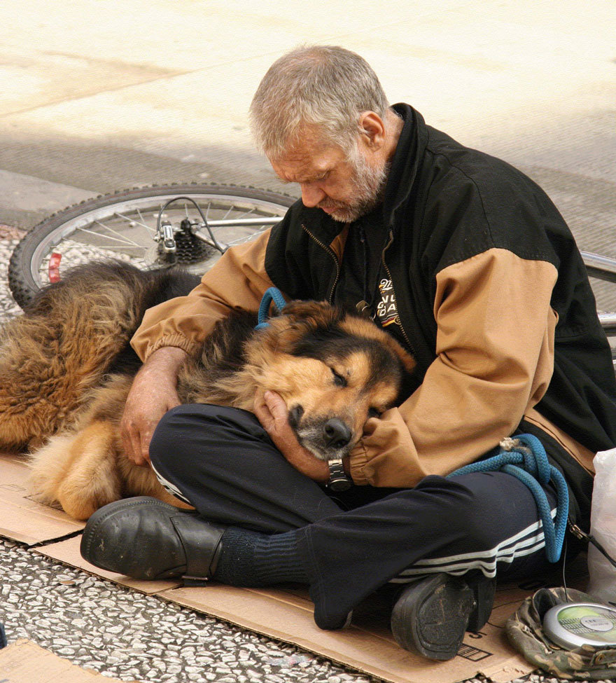 ghostlydear:  “Once a dog forms a close relationship with a caring owner, their