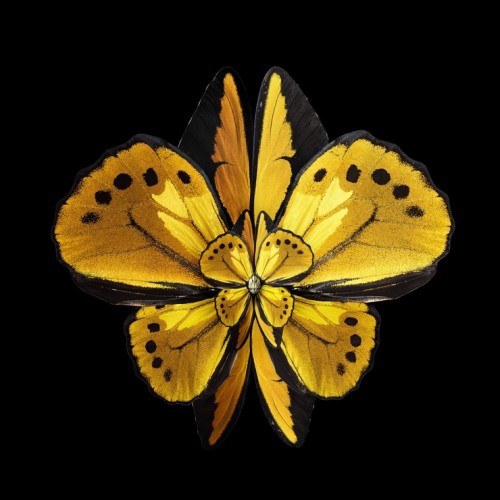 MIMESIS: INSECT WINGS ARRANGED TO LOOK LIKE BLOOMING FLOWERS